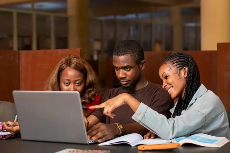 Groupe de professionnels africains en session de travail